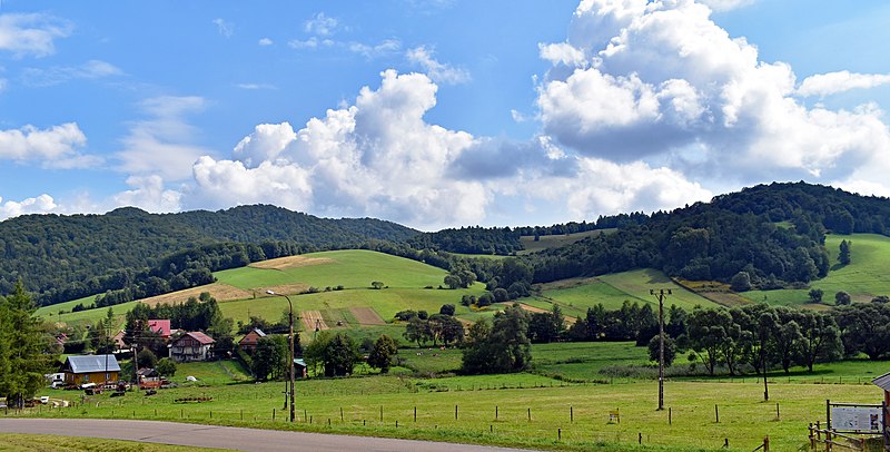2023.07.23 Bieszczady - ZIELONYM SZLAKIEM (archiwum)