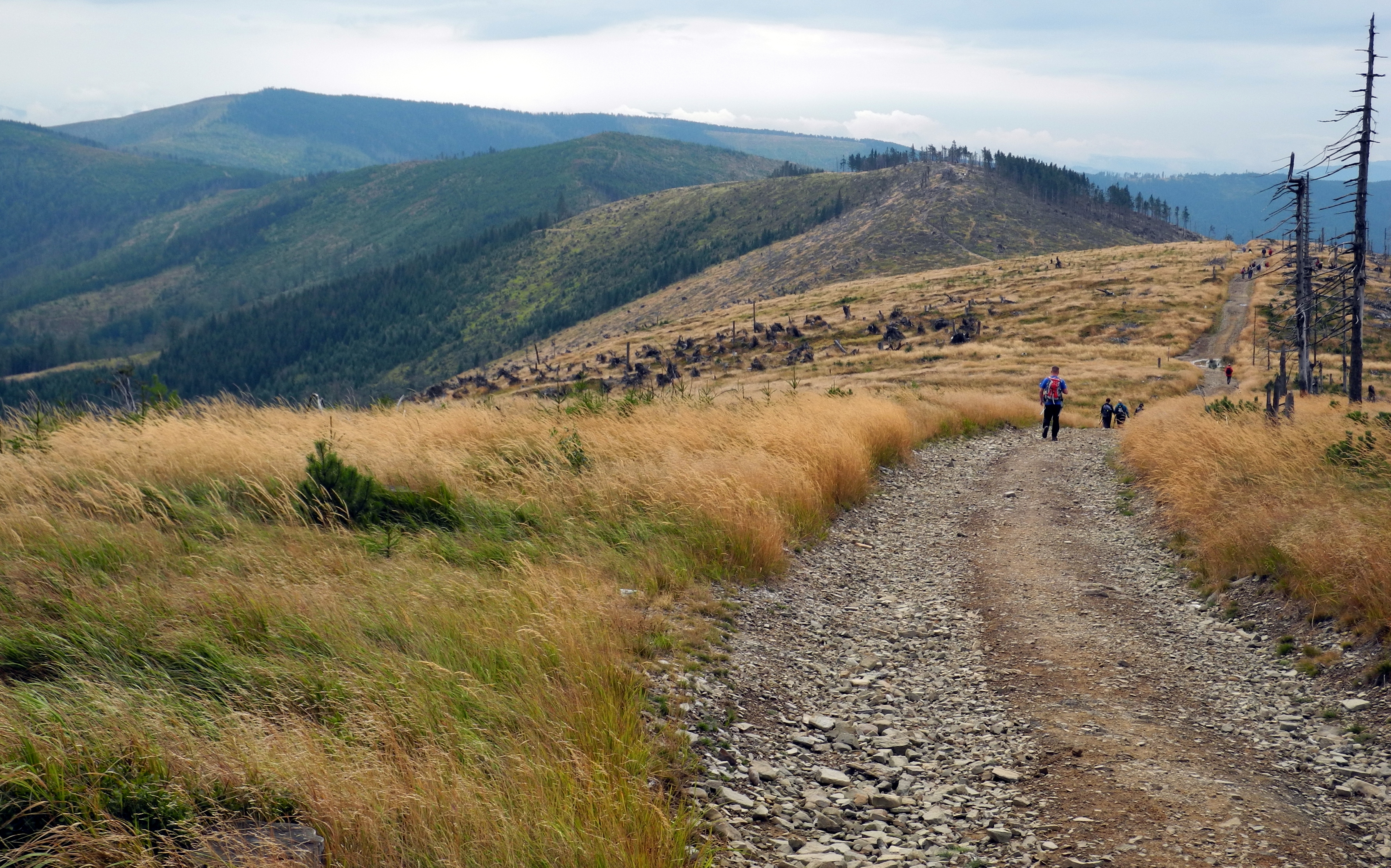 08-11.11.2024 "Listopad w górach" - Beskid Śląski