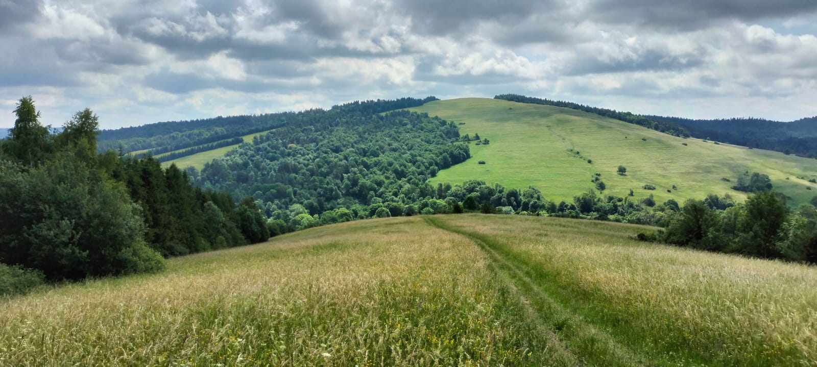 03.05.2025 Na granicy Beskidu Niskiego