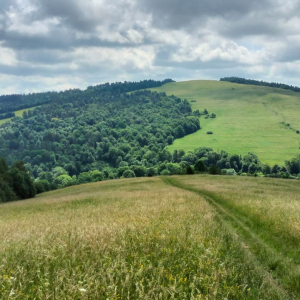 03.05.2025 Na granicy Beskidu Niskiego