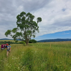 11.05.2025 Beskid Niski - Piotruś i Ostra 