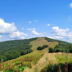 17.05.2025 Bieszczadzkie Tysieczniki - Hyrlata 1103 m