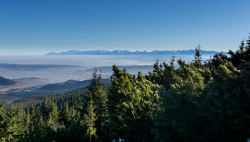 31.05 - 01.06.2025 Beskidzka Wyrypa - Pilsko 1557 m 
