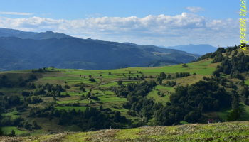 07.06.2025 Beskid Sądecki - Hala Pisana i Sokołowska Góra