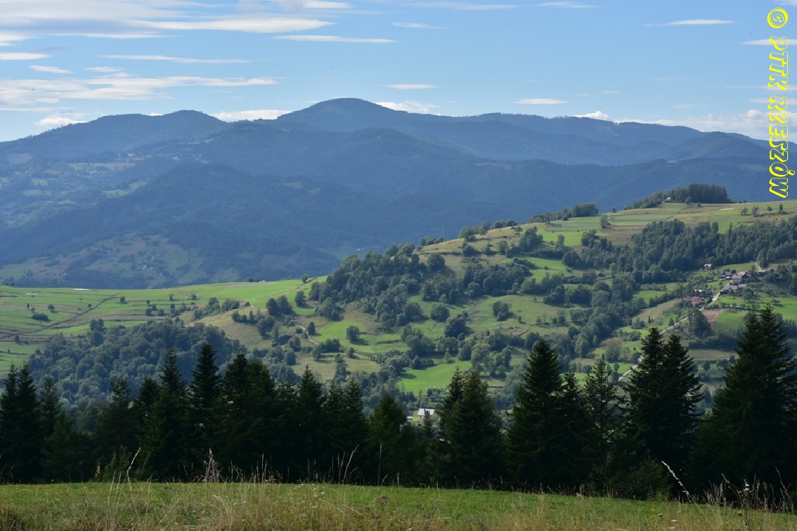 22.06.2025 Beskid Sadecki - Hala Prehyba 1175 m