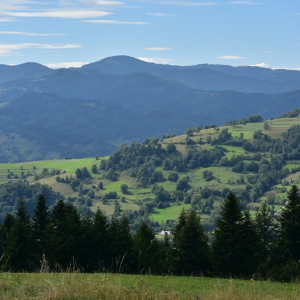 22.06.2025 Beskid Sadecki - Hala Prehyba 1175 m