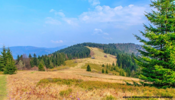 05.07.2025 Gorczańskie wędrówki - Obidowiec 1106 m