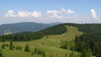 19.07.2025 Gorczańskie wędrówki - Lubań 1211 m