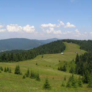 19.07.2025 Gorczańskie wędrówki - Lubań 1211 m