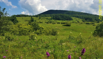 20.07.2025 Śladami Wielkiej Wojny na Jaworzynkę