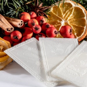 08.01.2026 Wieczór kolęd i wspomnień Klubu Seniora