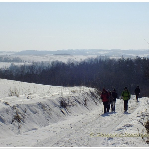 08.02.2026 szlakiem "estakady Via Carpatia"