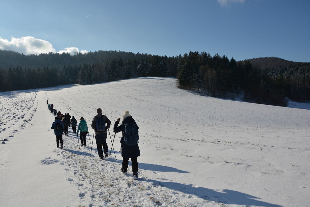 21.02.2026 Beskid Niski - CERGOWA  716 m 