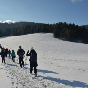 21.02.2026 Beskid Niski - CERGOWA  716 m 