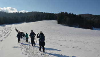 21.02.2026 Beskid Niski - CERGOWA  716 m (archiwum)