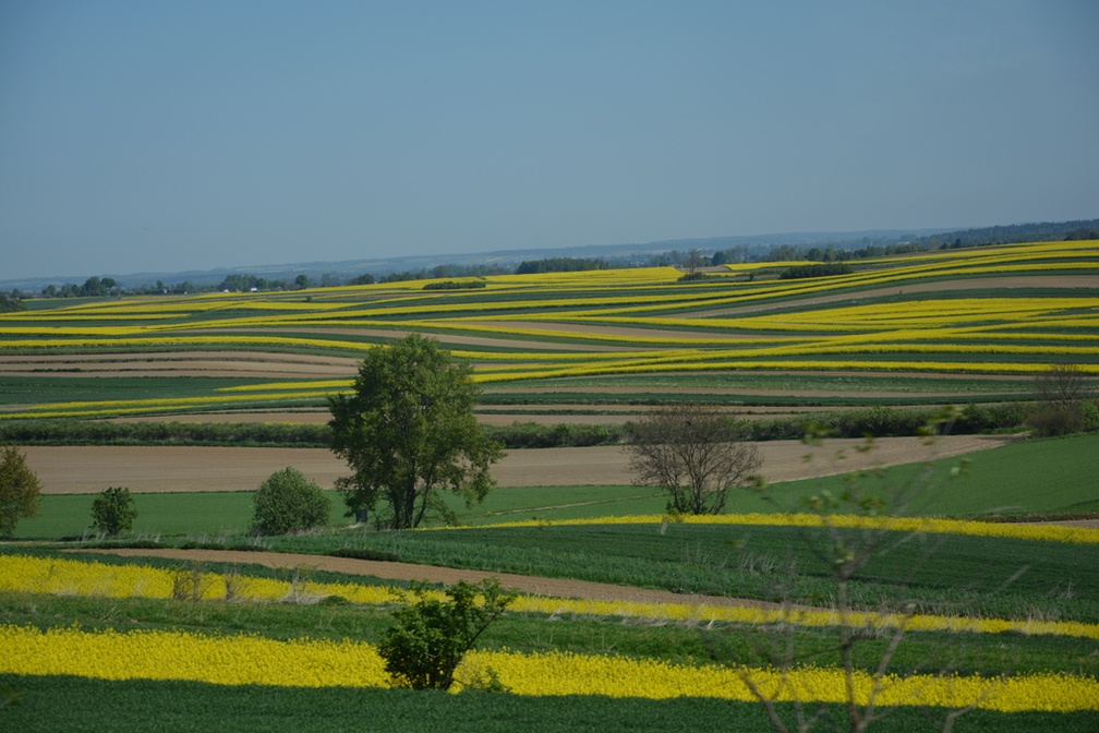 26.04.2026 Roztocze - Doliną Łówczanki