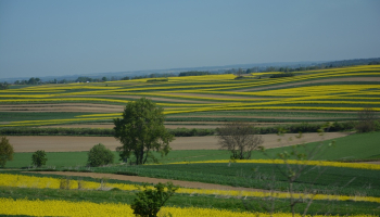 26.04.2026 Roztocze - Doliną Łówczanki