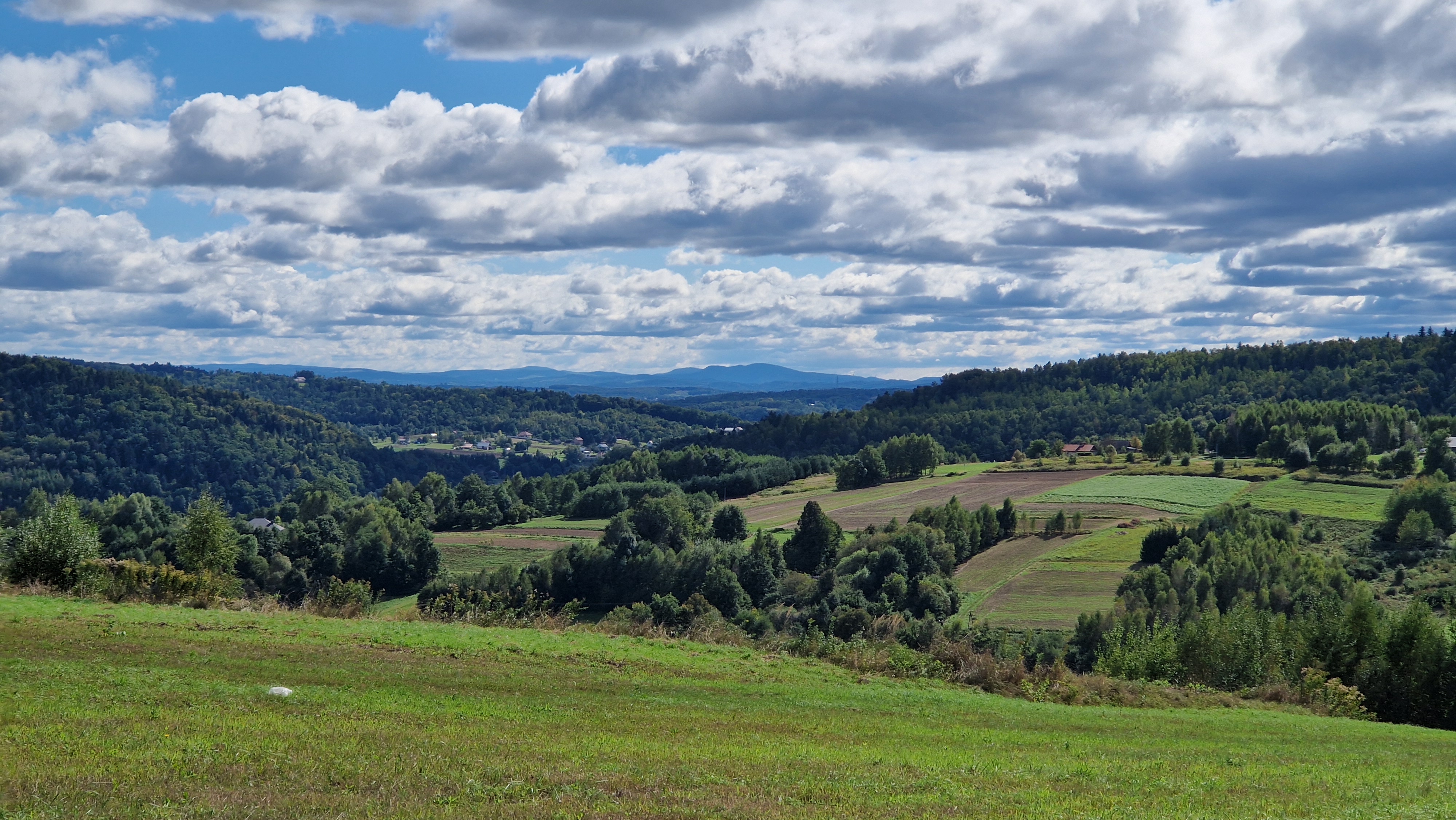 10.05.2026  Najwyższe szczyty pogórzy - Bardo i Chełm
