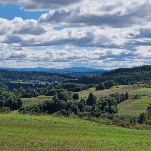 10.05.2026  Najwyższe szczyty pogórzy - Bardo i Chełm
