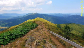 16.05.2026 Bieszczadzkie Tysięczniki - Rabia Skała 1199 m