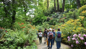 17.05.2026 Bolestraszyce i Fort Duńkowiczki