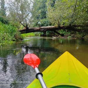 30.05.2026 Spływ kajakowy - rzeka Nida