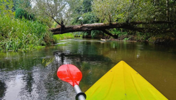 30.05.2026 Spływ kajakowy - rzeka Nida