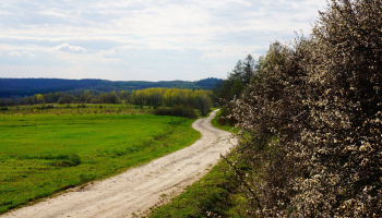 31.05.2026 Podróże małe i duże - Pogórze Dynowskie