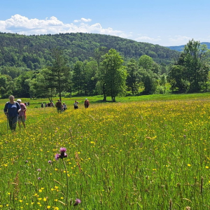 13.06.2026 Beskid Niski - Baranie 752 m