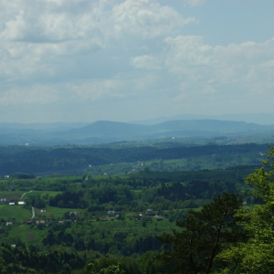 20.06.2026  Szlak niebieski  Tarnów -  Rogacze cz. 2