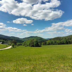 12.07.2026 Beskid Niski  - Kozie Żebro 847 m